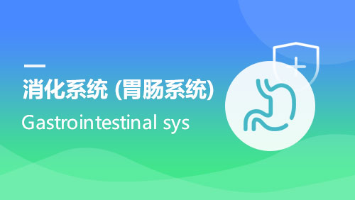 消化系统（胃肠系统） Gastrointestinal system