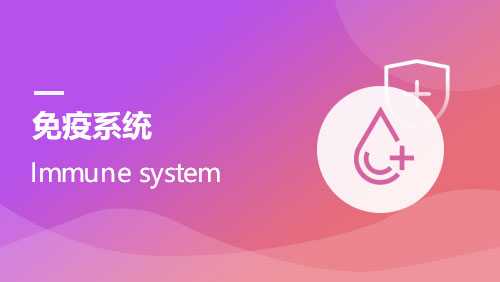 免疫系统 Immune system